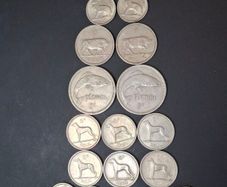 Irish florins + and 1rish selection