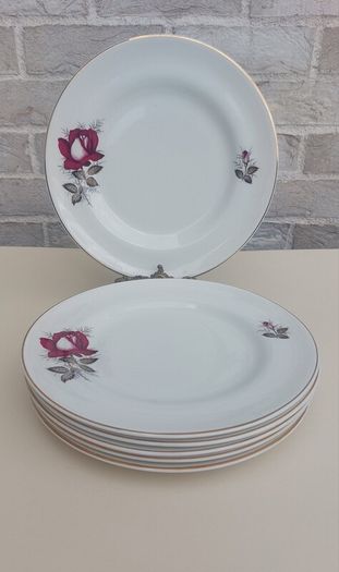 Beautiful Set of Six Large Dinner Plates by Arklow Pottery in the Very Popular and Collectable "Autumn Rose" Pattern