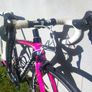 Pinarello carbon Image 2