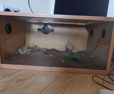 Reptile tanks (Gecko)