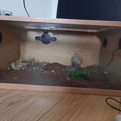 Reptile tanks (Gecko)