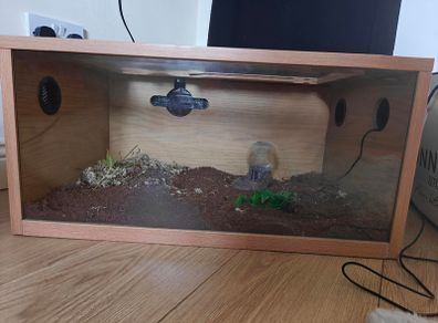 Reptile tanks (Gecko)