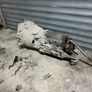 BMW E60 Gearbox Image 4