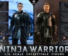 Batman v ras al ghul 2pk (Hot Toys scale)