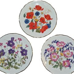 Wildflower Collector's Plates