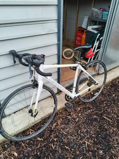 Cannondale Synapse Women's Bike