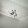 Curved Nose Studs Image 3