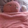 Childs Sleeping Bag Image 5