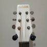 Benson Panther Slimline Electro- Acoustic Guitar Image 3