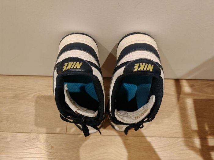 Nike Dunk Low