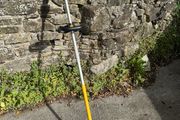 DEWALT Strimmer DCM561PBS-XJ 18V Brushless String Trimmer Bare Unit