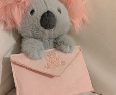 Jellycat Messenger Koala Soft Toy NEW VALENTINES 2026 NWT