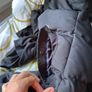 canada goose Image 4