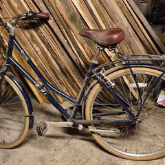 ladybike