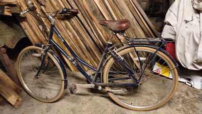 ladybike