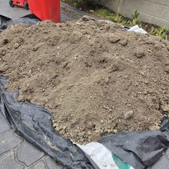 Free soil