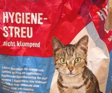 cat litter