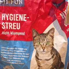 cat litter
