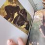 wildlife book Image 6