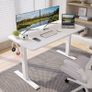 Electric Height Adjustable Standing Desk Sit Stand Desk with Whole Board for Home Working Image 6