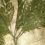 artificial plant Image 4
