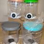 Pack of 4 Replacement Pint Containers for Ninja Swirl CREAMi NC701EU Image 3