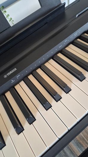 Yamaha P-45 Digital Piano 88 key