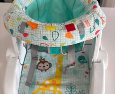 bright starts learn to sit seat