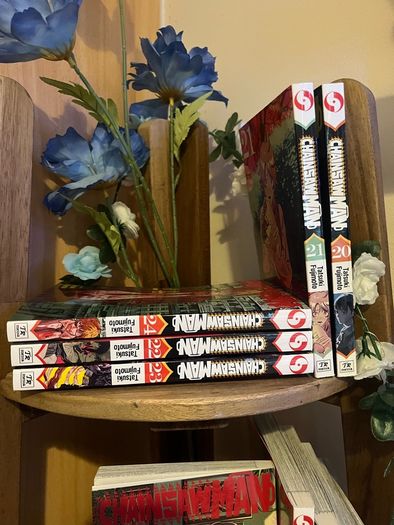 Chainsaw Man Manga (vol. 11-24)