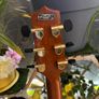 Takamine GY93E New Yorker  with k&k Pure Mine pickup Image 8