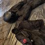 bike gear Image 4