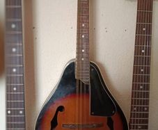 karina gold L123 mandolin