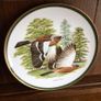 Vintage Franklin Porcelian woodland birds of the world 10 inch decorative plates Image 7