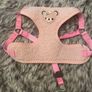 Small Dog Harness and Lead Set Image 7