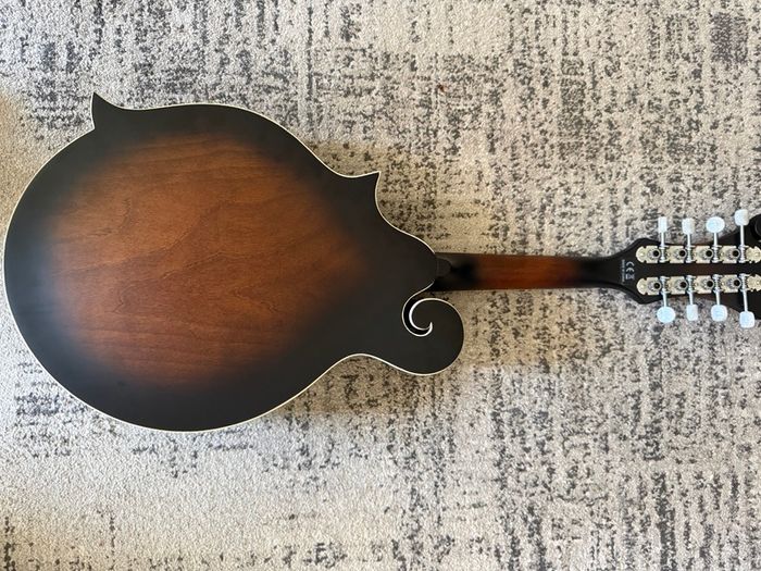 Ortega Mandolin Electric as new