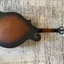 Ortega Mandolin Electric as new Image 4