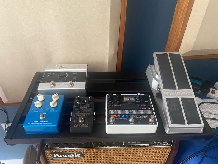 Electro Harmonix 22500 looper