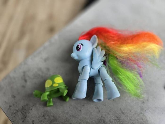 Articulated Joints Rainbow Dash with Pet Turtle Tortoise MLP G4 My Little Pony