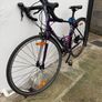 Trek Lexa Road Bike Image 3