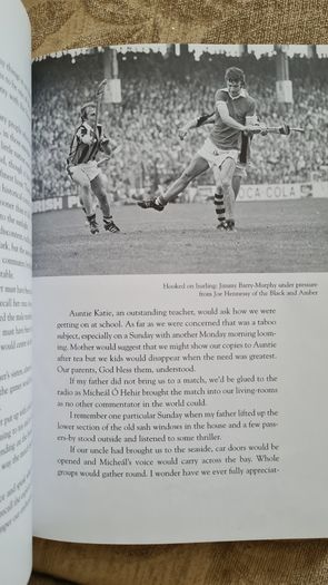 Passing Through. By Declan HASSETT. FIRST EDITION. Paperback In Good Condition.