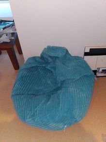 Lounge pug beanbag