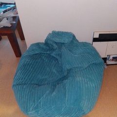 Lounge pug beanbag