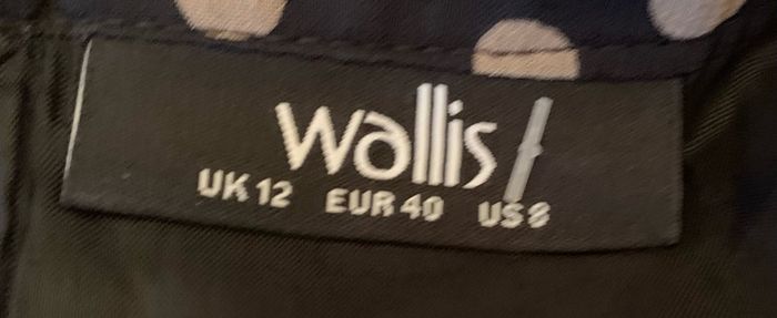 Wallis Swing Dress