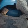 interactive Stitch Image 3