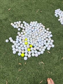 titleist golf balls