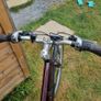 Pendleton Brooke Ladies Bike Image 6
