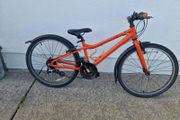 Carrera Abyss JR bike
