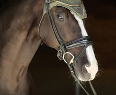 New Stockholm Ear Bonnet Striking Valley