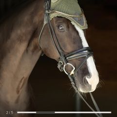 New Stockholm Ear Bonnet Striking Valley