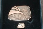Gaisce President Bronze